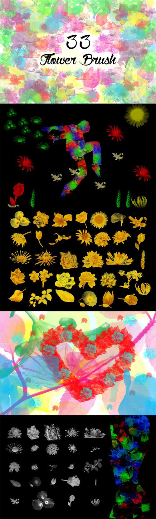 3个水彩花卉PS笔刷透明素材,花卉,花卉笔刷,PS笔刷"