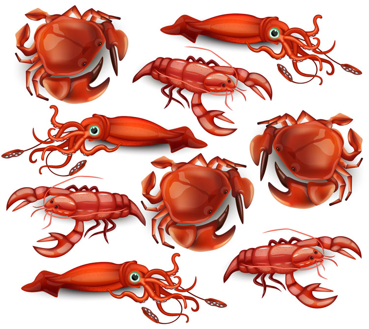 龙虾鱿鱼螃蟹海鱼等海鲜美食矢量插图