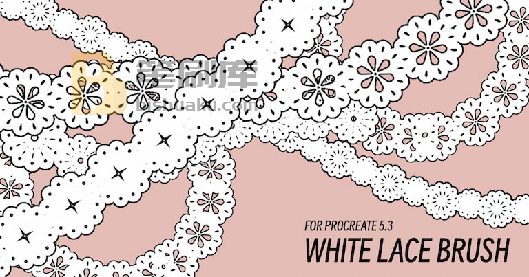 Lace Brushes