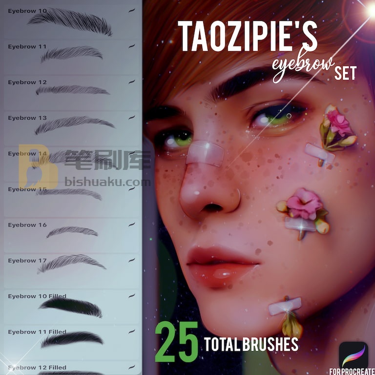Taozipie眉毛笔刷-Procreate