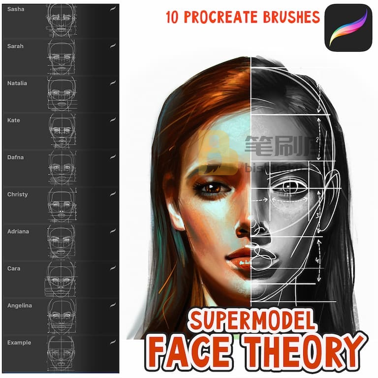 人像超模脸型模特辅助线笔刷-procreate 人像超模脸型模特辅助线笔刷-procreate
