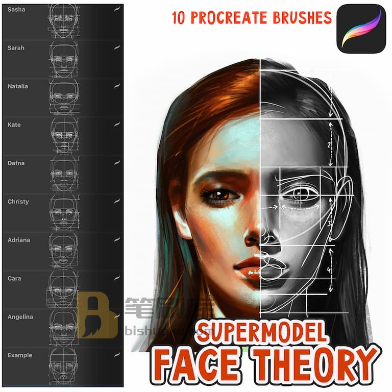 人像超模脸型模特辅助线笔刷-procreate