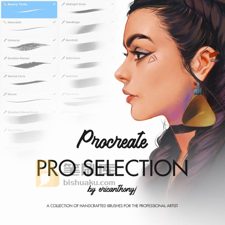 ericanthonyj专业笔刷-procreate