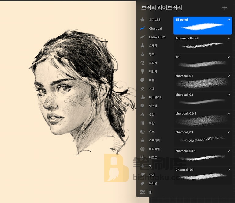 Procreate 炭笔画笔