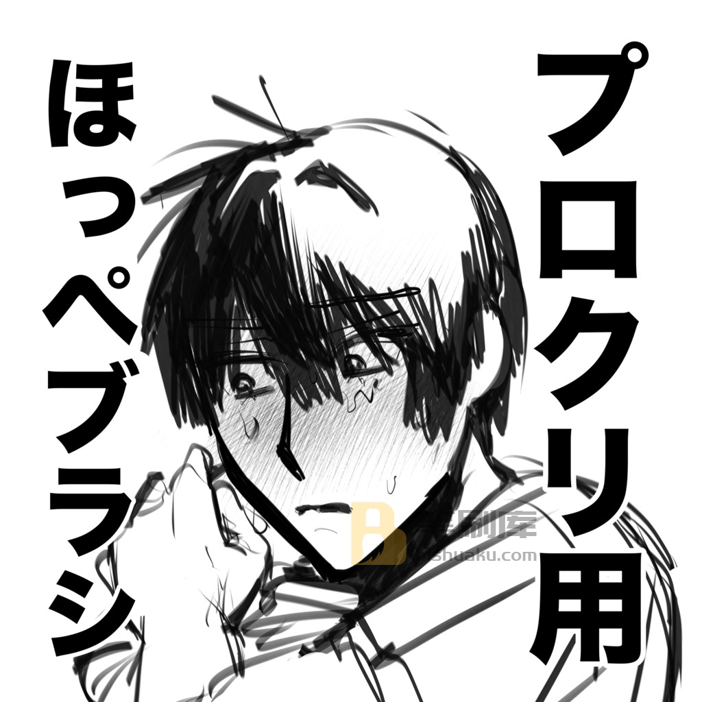 プロクリ用ほっぺブラシ