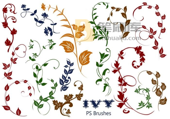 20款常春藤PS Brushes abr vol.5 PS笔刷