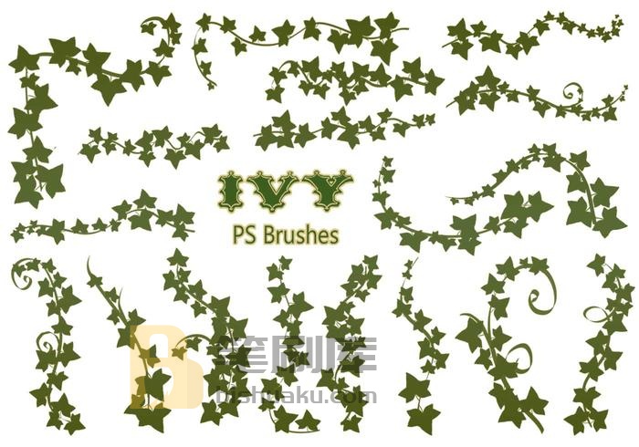 20款常春藤PS Brushes abr vol.9 PS笔刷
