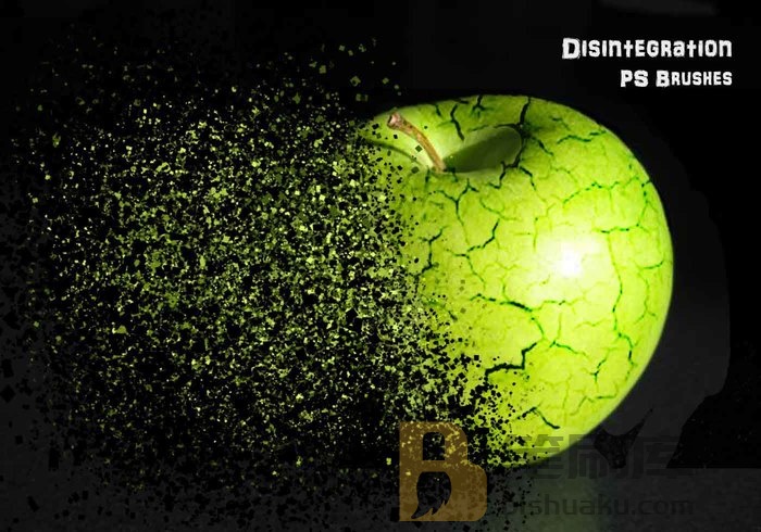 20款Disidegration PS Brushes第6卷 PS笔刷