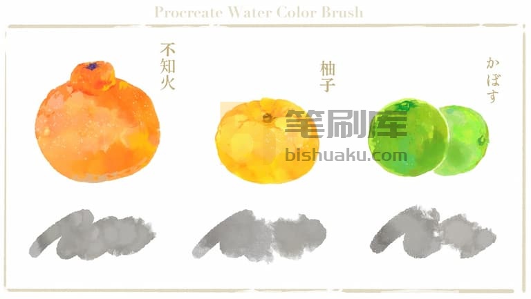 柑橘水彩笔刷预览一-procreate 柑橘水彩笔刷预览一-procreate