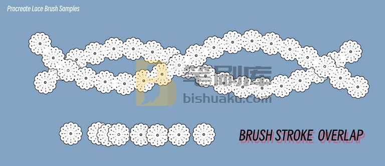 Lace Brushes