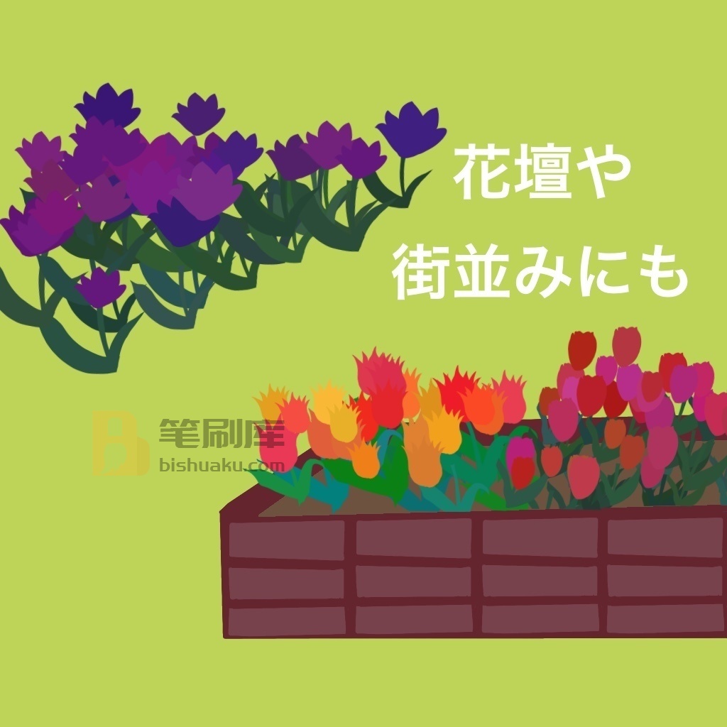 郁金香田笔刷
