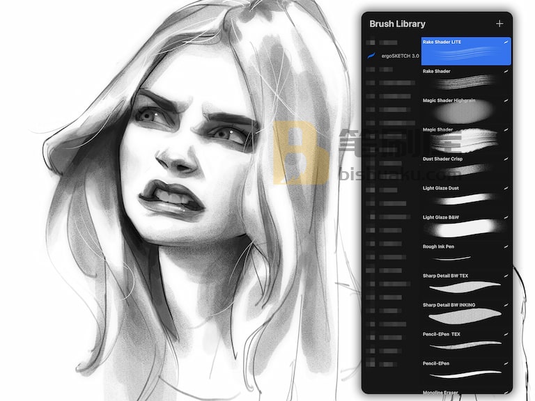 ergoSKETCH 3.0