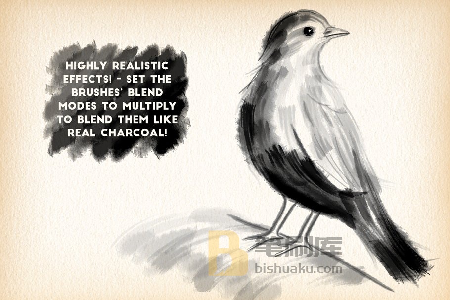 木炭画笔笔画AI笔刷 Charcoal Brushes插图(2)