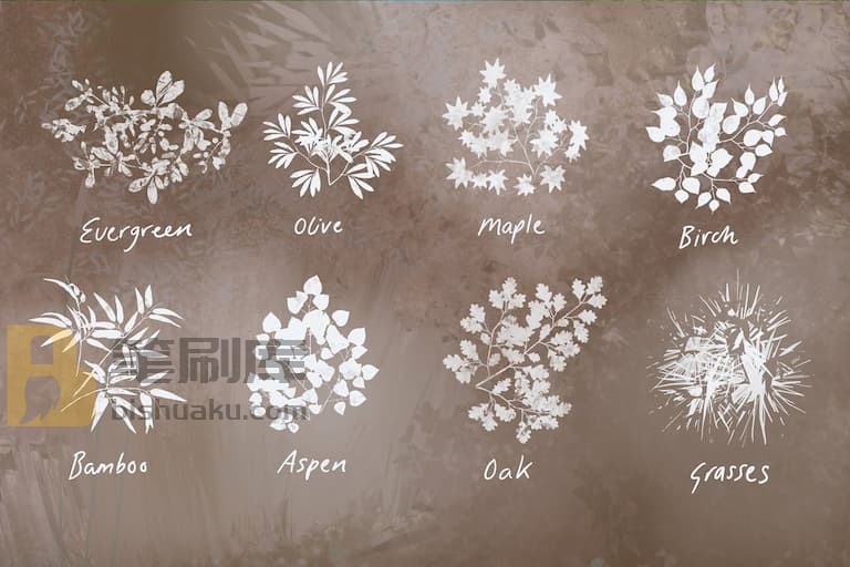 自然元素笔刷预览二 自然元素笔刷预览二