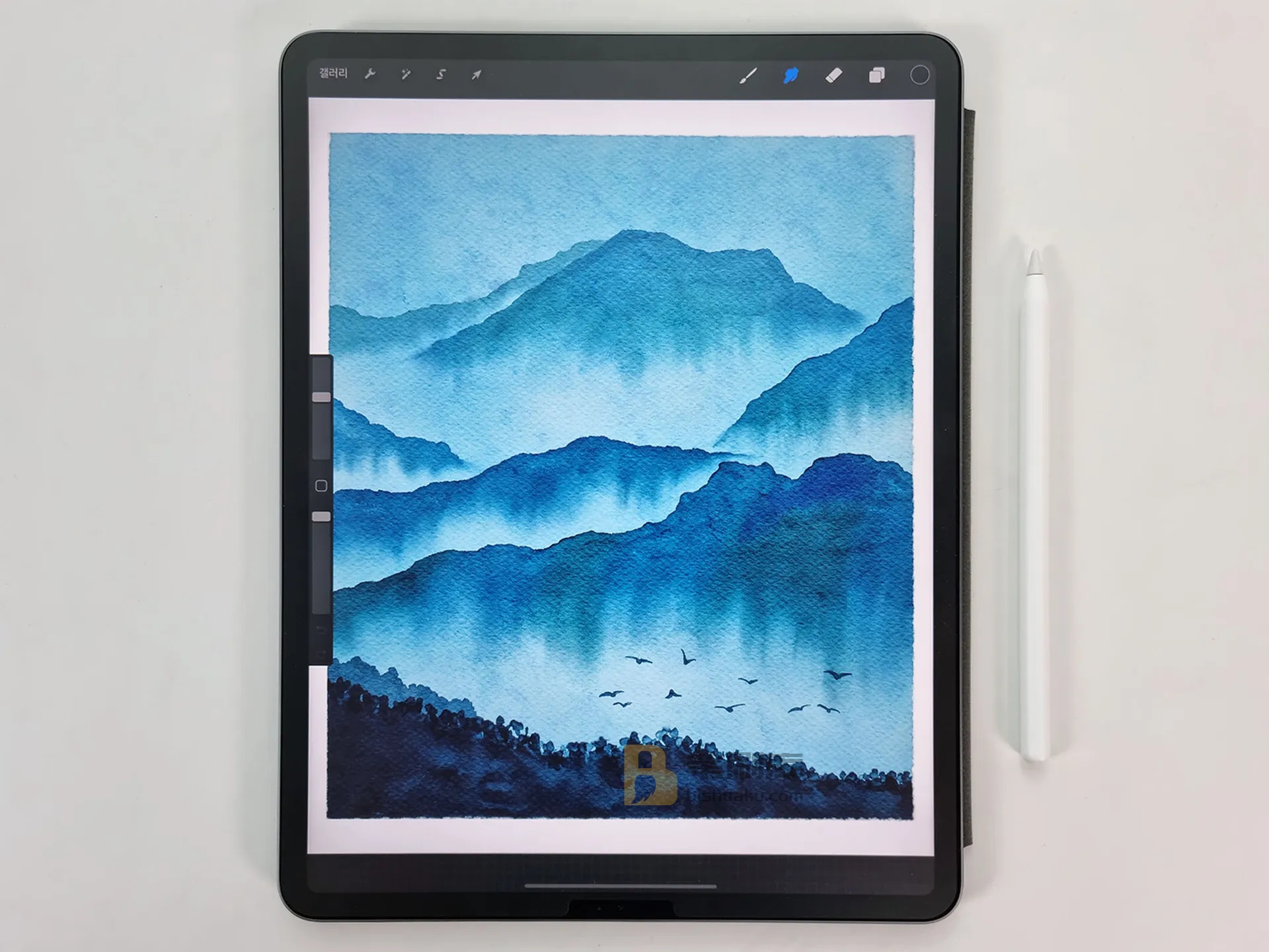 Procreate水彩画