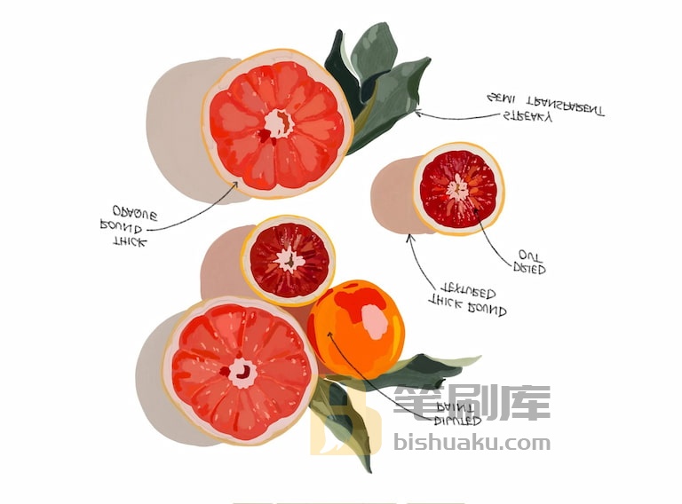 Procreate水粉恋人笔刷应用示例六