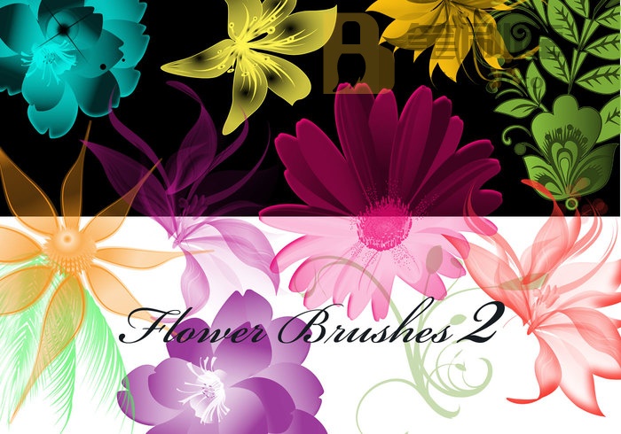 异想天开艺术品43高清花卉Photoshop笔刷第2卷