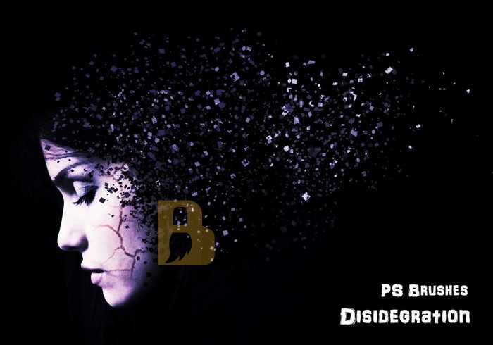 20款Disidegration PS Brushes第2卷 PS笔刷