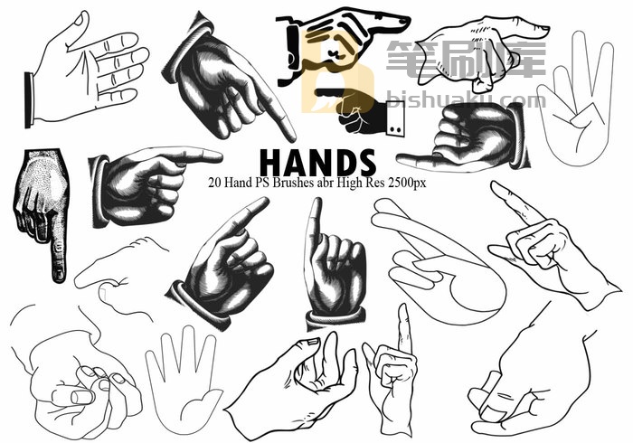 Hand PS Brushes abr PS笔刷